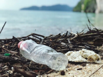El residuo que no cesa: ¿por qué no disminuyen los plásticos en el mar? 
