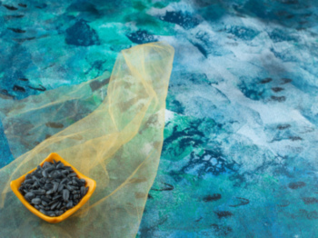 Una empresa gallega transforma residuos marinos en un producto que depura el agua